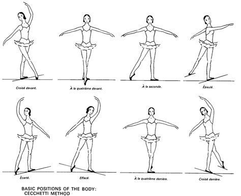 Ballet Positions Diagram | Quizlet