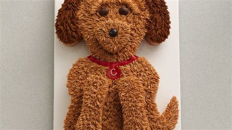 Cute Golden Doodle Dog Cake Recipe - BettyCrocker.com