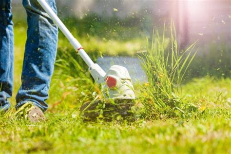 4 Types of Brush Cutter Blades Explained by Big-Time Gardeners