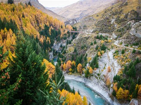 Skippers Canyon Road 4WD Tour- Nomad Safaris