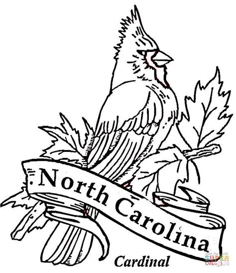 North Carolina State Symbols Coloring Pages at GetColorings.com | Free ...