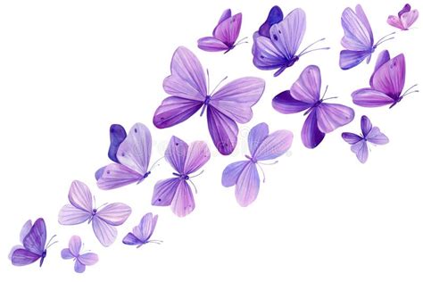 Swarm of Beautiful Butterflies, Set of Purple Butterflies on Isolated ...