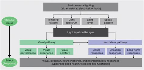 The Importance of Healthy Indoor Lighting - Marketplace Industrial