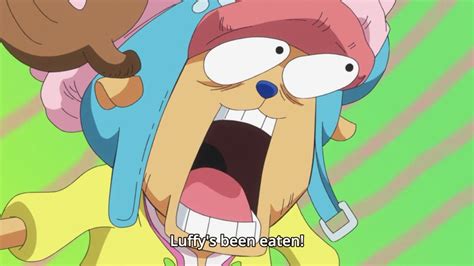 Tony Tony Chopper shocked - One Piece Folge 790