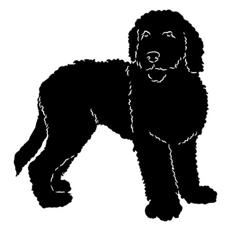 Golden Doodle Dog Silhouette PNG & SVG Design For T-Shirts