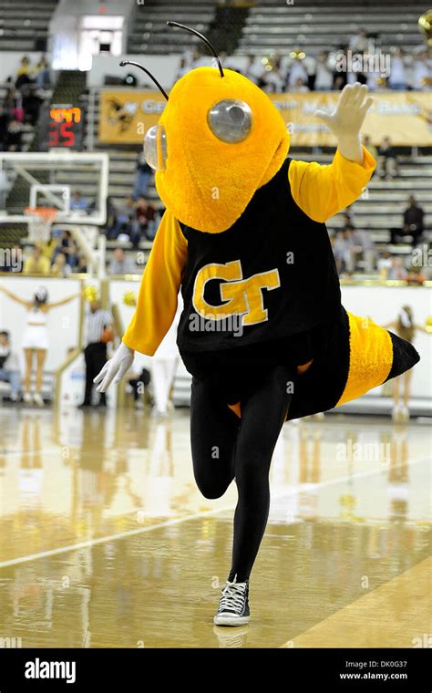 Georgia tech mascot hi-res stock photography and images - Alamy