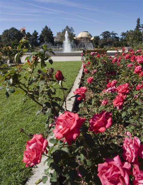 EXPO CENTER - EXPOSITION PARK ROSE GARDEN | City of Los Angeles Department of Recreation and Parks