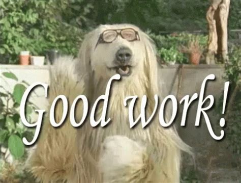 Good Work GIF - Clapping Goodwork Dogs - Discover & Share GIFs