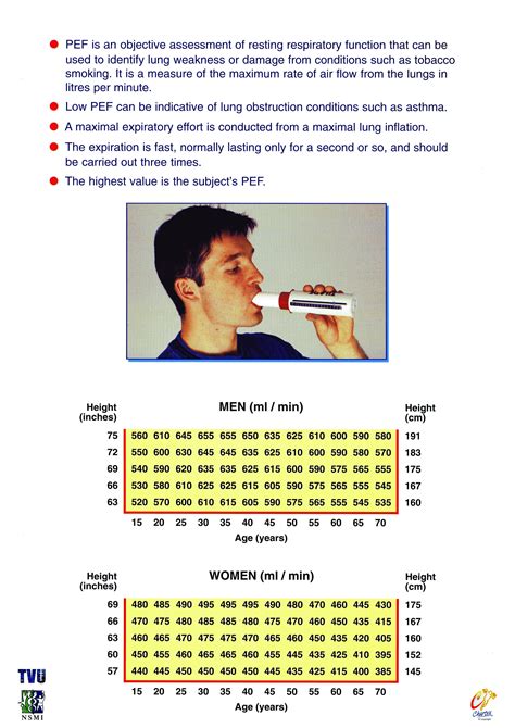 Flow Chart Peak Expiratory Flow Process Flow Chart | Images and Photos ...