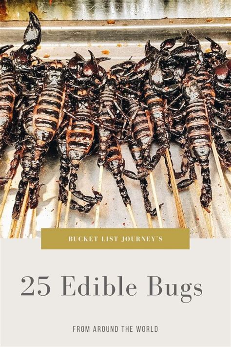 Edible Bugs Bucket List: 25 Insects People Eat Around the World