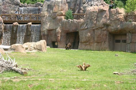 Teton Trek, Memphis Zoo, Memphis, Tennessee, USA by Torre Design | Zoo ...