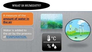 Evaporation, Humidity Measurement and Condensation PPT.pptx