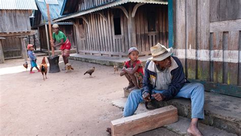 Magic of Madagascar: Take a look at life in a village made of wood ...