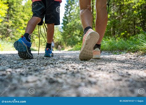 Walking And Hiking Recreational Trails On The Mountain Buergenstock Or Burgenstock, Ennetburgen ...