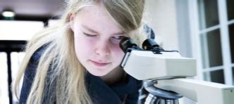 Courses & curriculum | University College Maastricht | Maastricht University