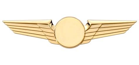 Gold Pilot Wings - Double-Wing Modern Large Wings