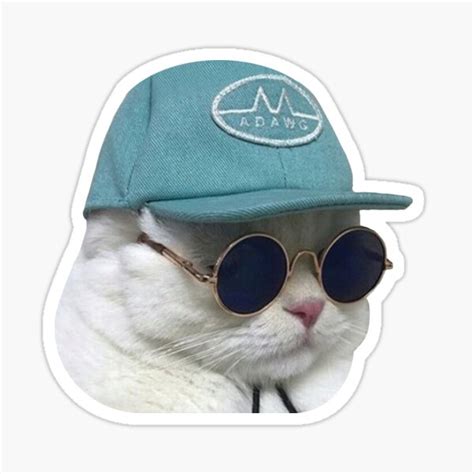 "Sunglasses Cat Meme #1" Sticker for Sale by cat-reactions | Redbubble