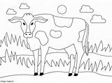 Simple Cow coloring page sketch template
