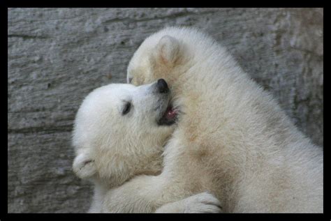 Baby hug by AF--Photography on DeviantArt