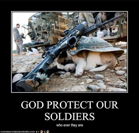 25 Dogs And Cats With Soldiers | Military dogs, Sleeping animals, War dogs