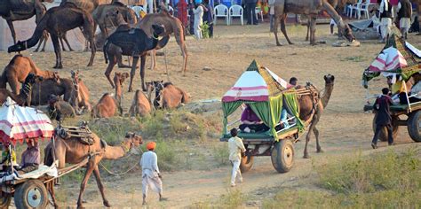 Luxury Tours of 2024 Pushkar Camel Fair