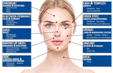 Facial Blemish Map Reveals These Internal Health Problems