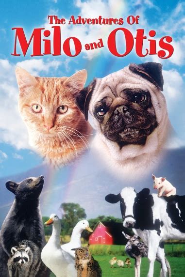 THE ADVENTURES OF MILO AND OTIS | Sony Pictures Entertainment