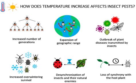 Understanding Nature's Influence: Unraveling the Impact of Weather on ...