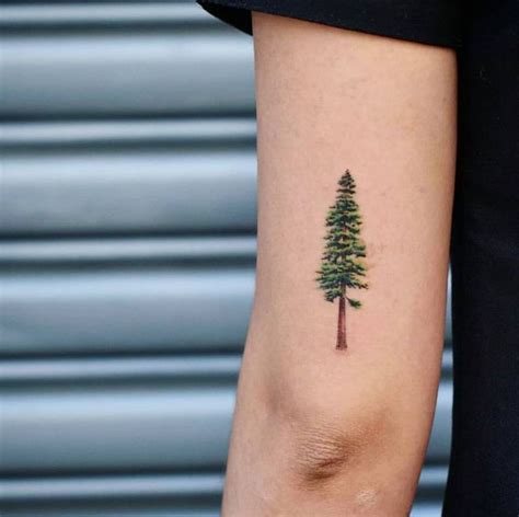 Aggregate more than 79 moon and pine tree tattoo - in.cdgdbentre