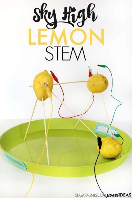 Lemon Battery Science Fair Project - The OT Toolbox