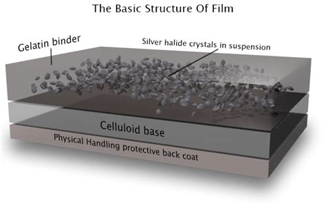 inorganic chemistry - What exactly is the use of photographic films in cameras? How are the ...