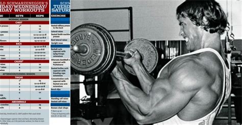 6 Day Arnold schwarzenegger workout blueprint pdf for Women | Morning Workout Routine