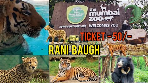 Rani Bagh Mumbai 2022 | Complete Tour Of Rani Bagh | Mumbai Byculla Zoo ...