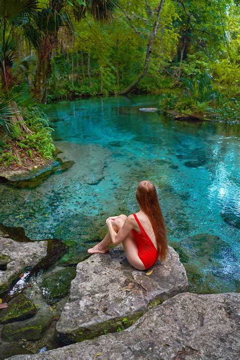 Tips For Kelly Park/Rock Springs: The Perfect Florida Oasis - Florida ...