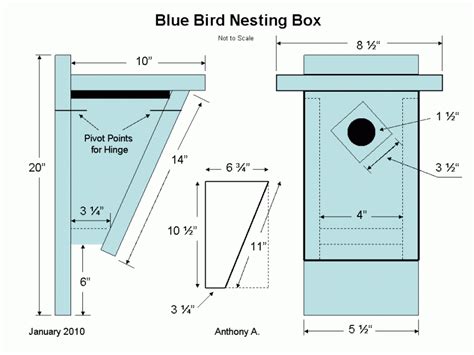 Eastern Bluebird House Plans | Bluebird Nest Box Plans: How To Build A Peterson Bluebird House ...