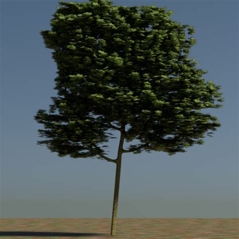 Small Blender Things: A new tree addon, Part III: development continues