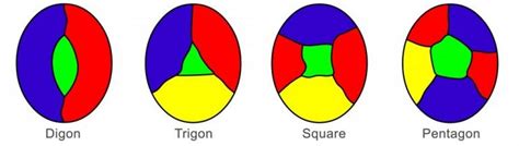 Four Color Theorem: What Is Four Color Map Theorem?