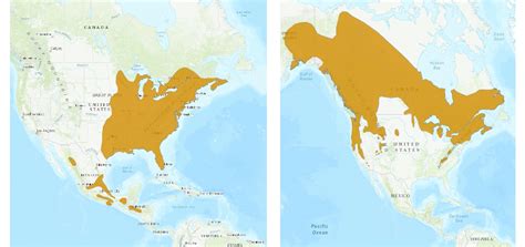 Flying Squirrel Habitat Map