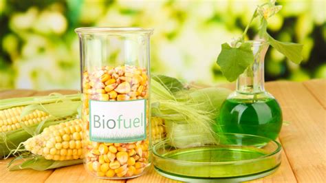 Biofuels - the Future of Sustainability & Alternative Energy