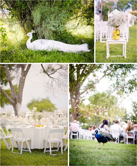 Rustic Wedding with Southern Style at Floyd Lamb Park at Tule Springs ...