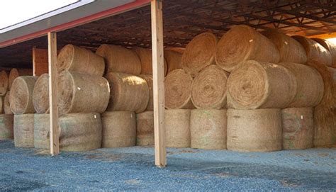 Build a hay barn right the first time | Hay and Forage Magazine