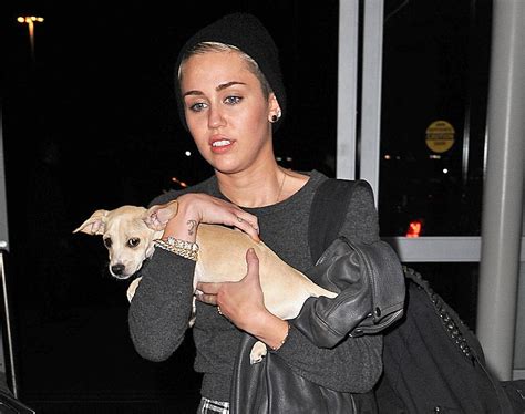 Miley Cyrus' New Dog Is Named After Another Family Member's Pet