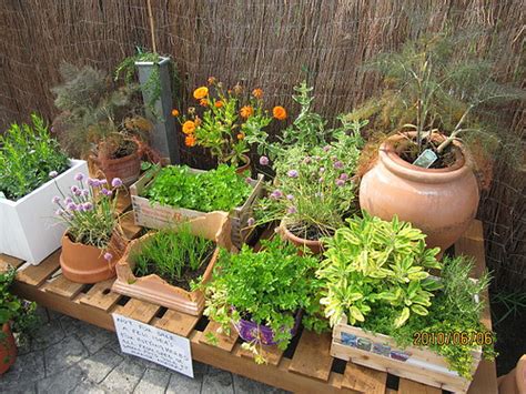 Container Herb Garden Design - Herb Garden Design