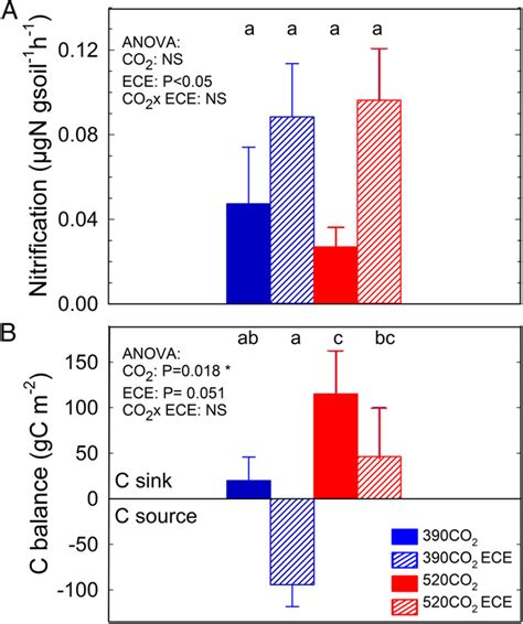 Soil nitrification potential at the end of the experiment (A) and full ...