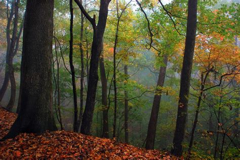 Monte Sano State Park | Alapark