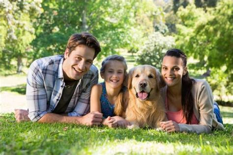 Top 10 Family Dogs - Factual Facts - Facts about the world we live in