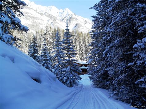 Banff National Park Winter Wallpaper download - Banff National Park HD Wallpaper - Appraw