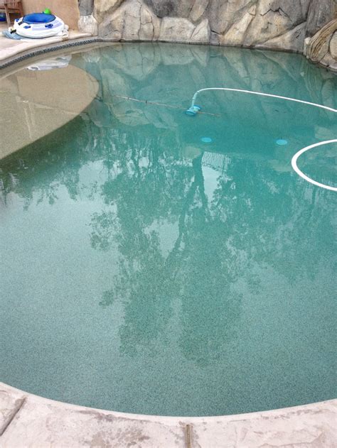 Wine Country Pools And Supplies: Swimming Pool Algae Removal