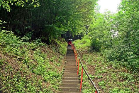 Stairs To Poenari Castle, Romania Stock Photo - Image of mountains, stairs: 153476060