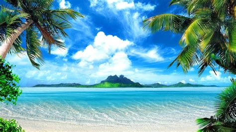 2560x1440 Tropical Beach Backgrounds HD wallpaper | Pxfuel